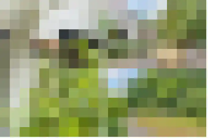 Julianalaan 265 Bilthoven thumbnail 54