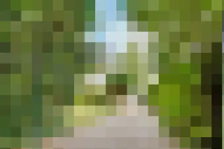 Julianalaan 265 Bilthoven thumbnail 56