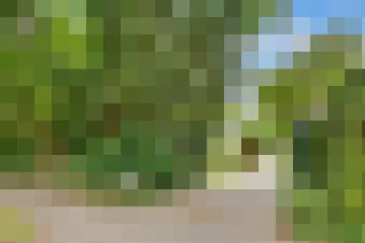 Julianalaan 265 Bilthoven thumbnail 57