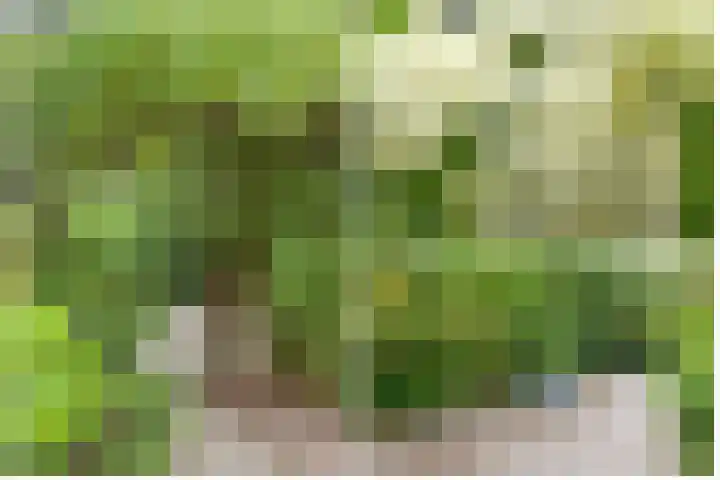 Julianalaan 265 Bilthoven thumbnail 58