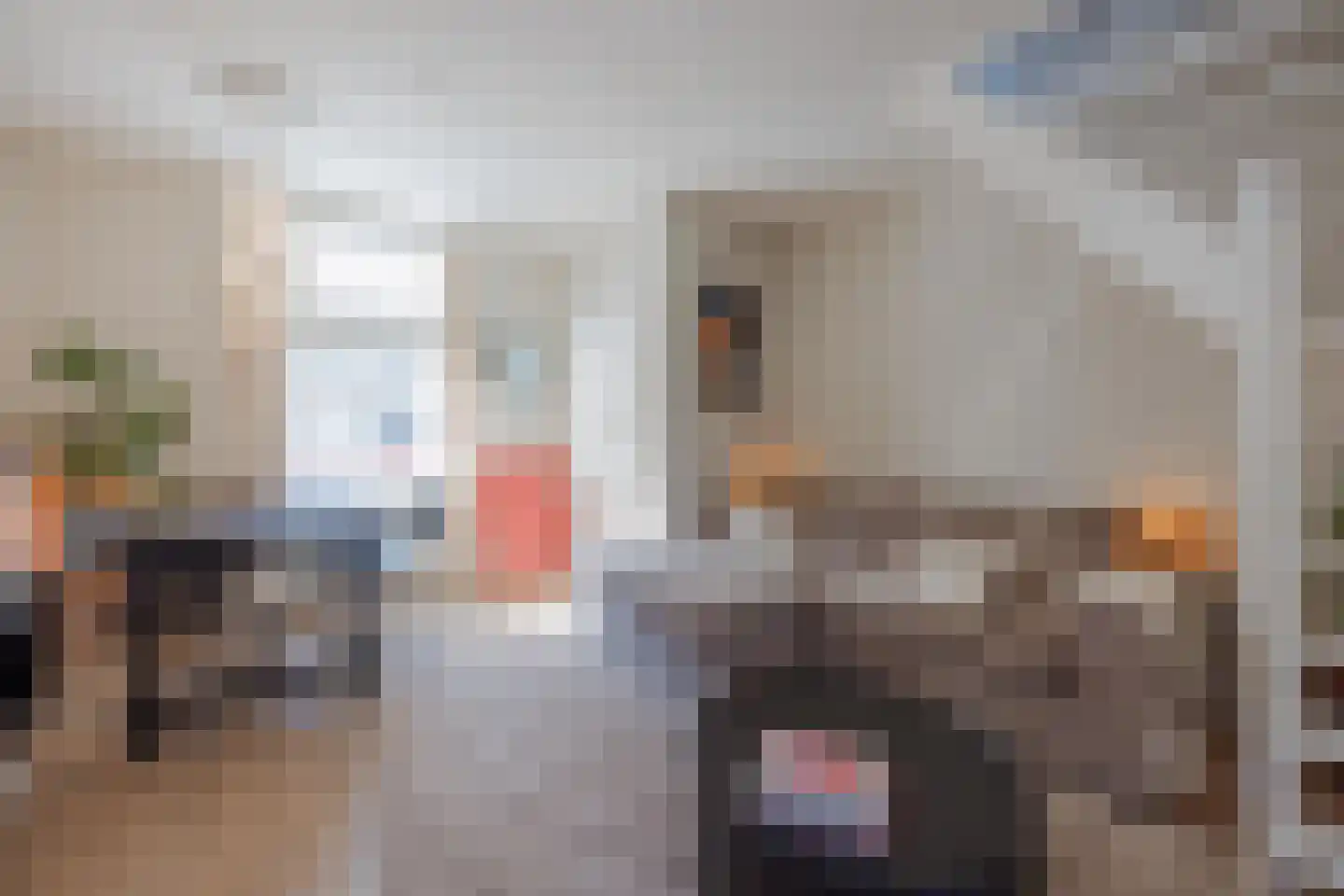 Julianalaan 27 Raamsdonksveer thumbnail 14