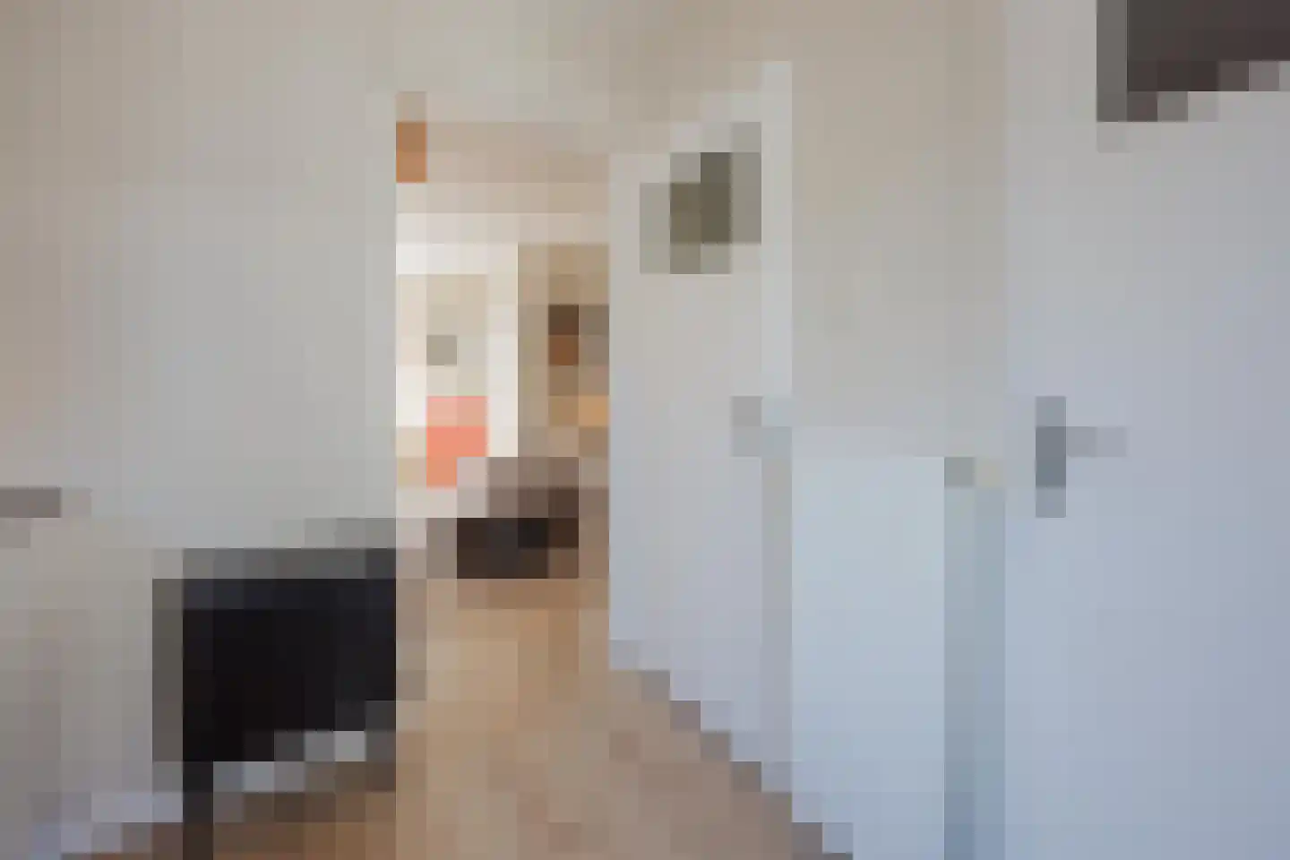 Julianalaan 27 Raamsdonksveer thumbnail 20