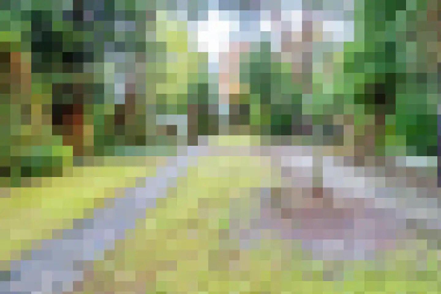 Julianalaan 279 Bilthoven thumbnail 32
