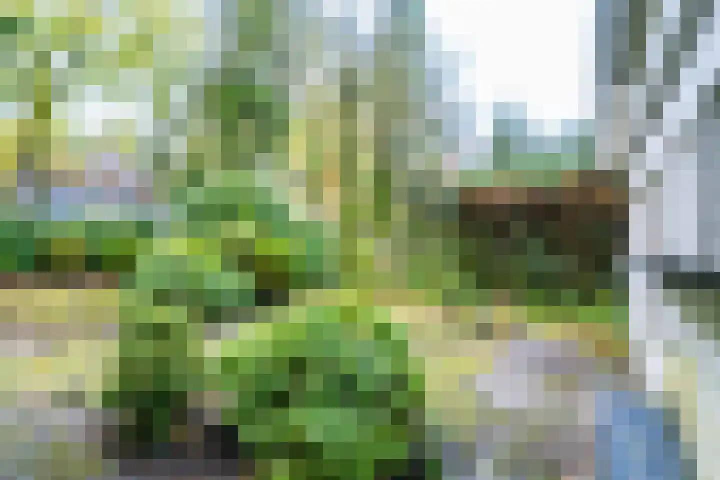 Julianalaan 279 Bilthoven thumbnail 37