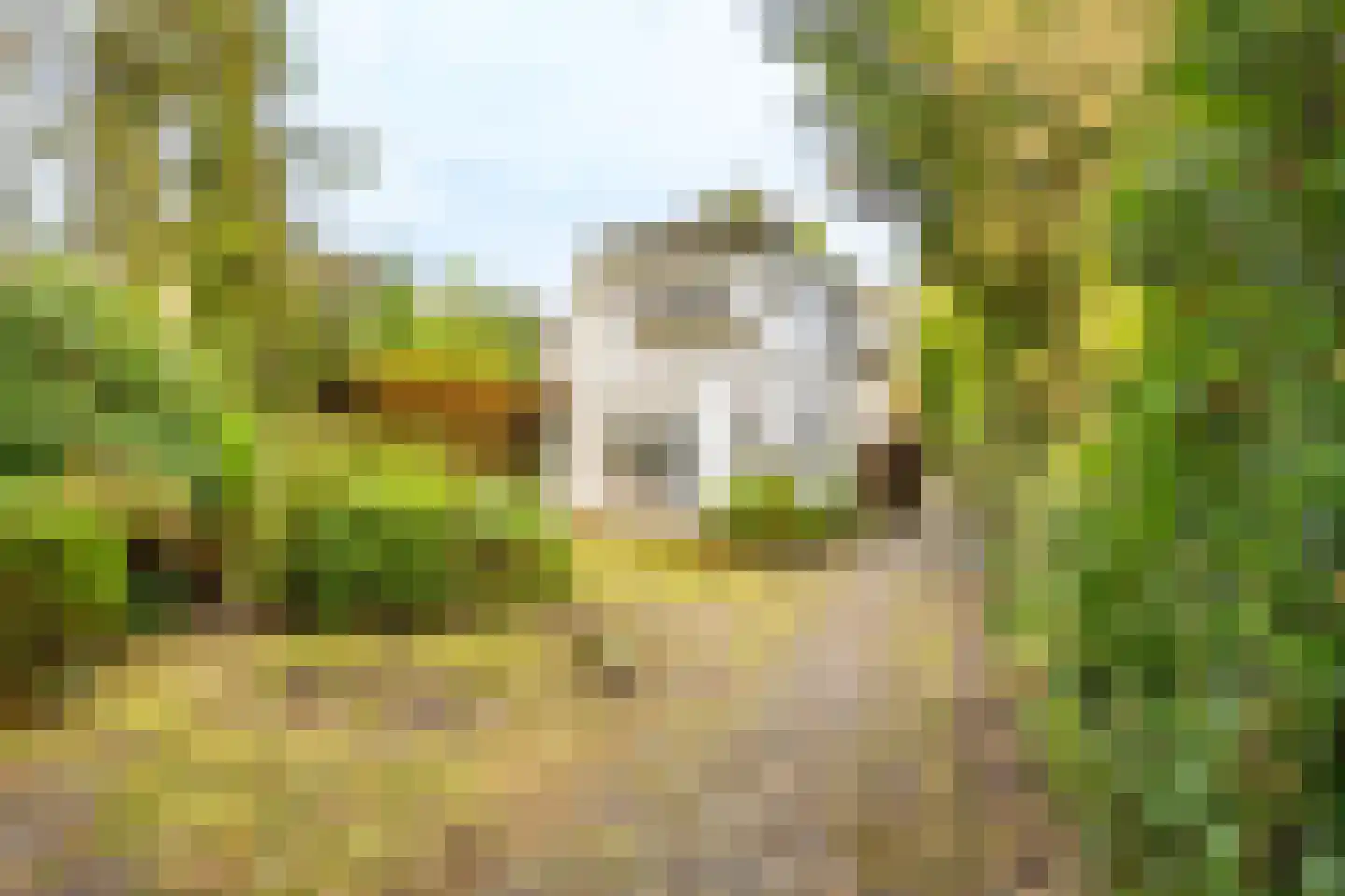 Julianalaan 279 Bilthoven thumbnail 39