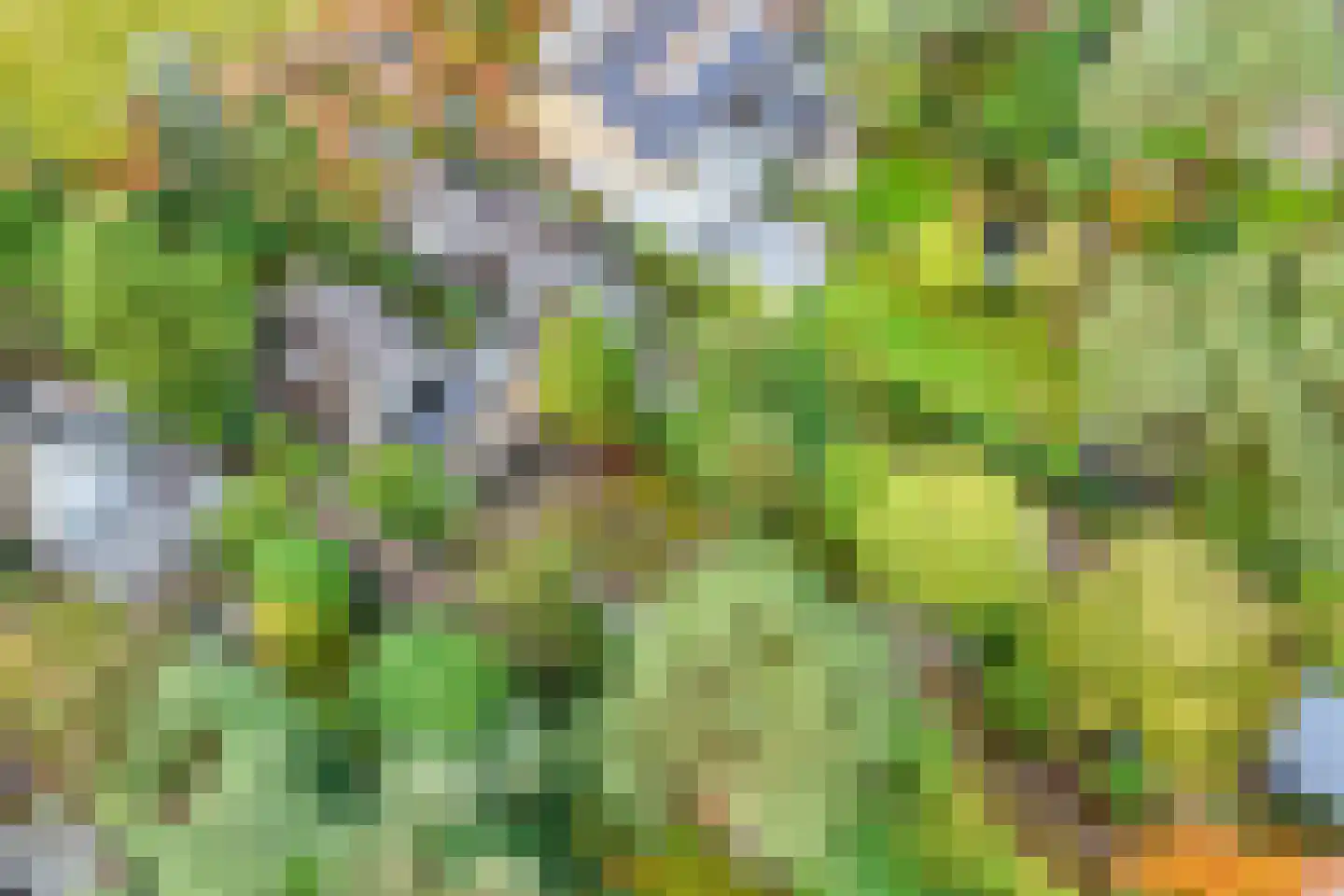 Julianalaan 279 Bilthoven thumbnail 42