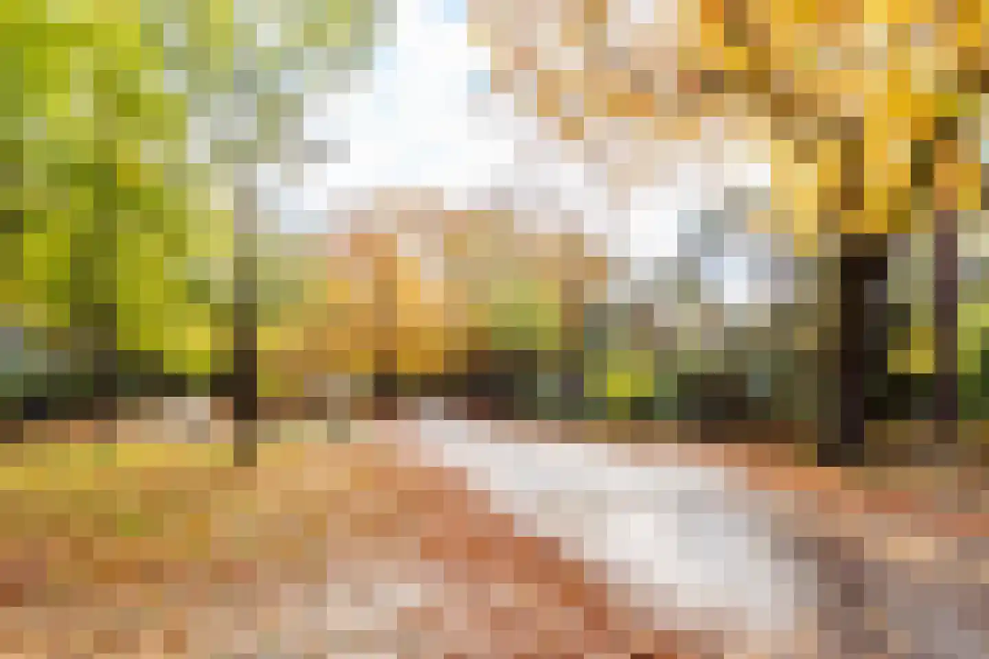Julianalaan 279 Bilthoven thumbnail 44