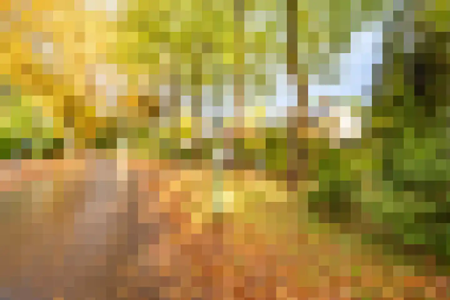 Julianalaan 279 Bilthoven thumbnail 45