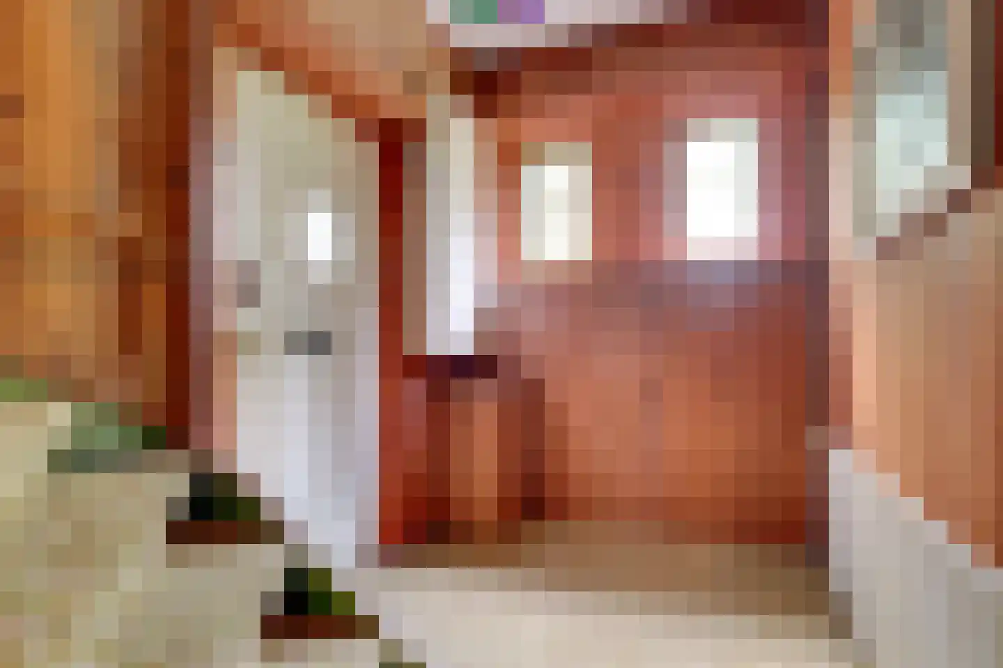 Julianalaan 279 Bilthoven thumbnail 5