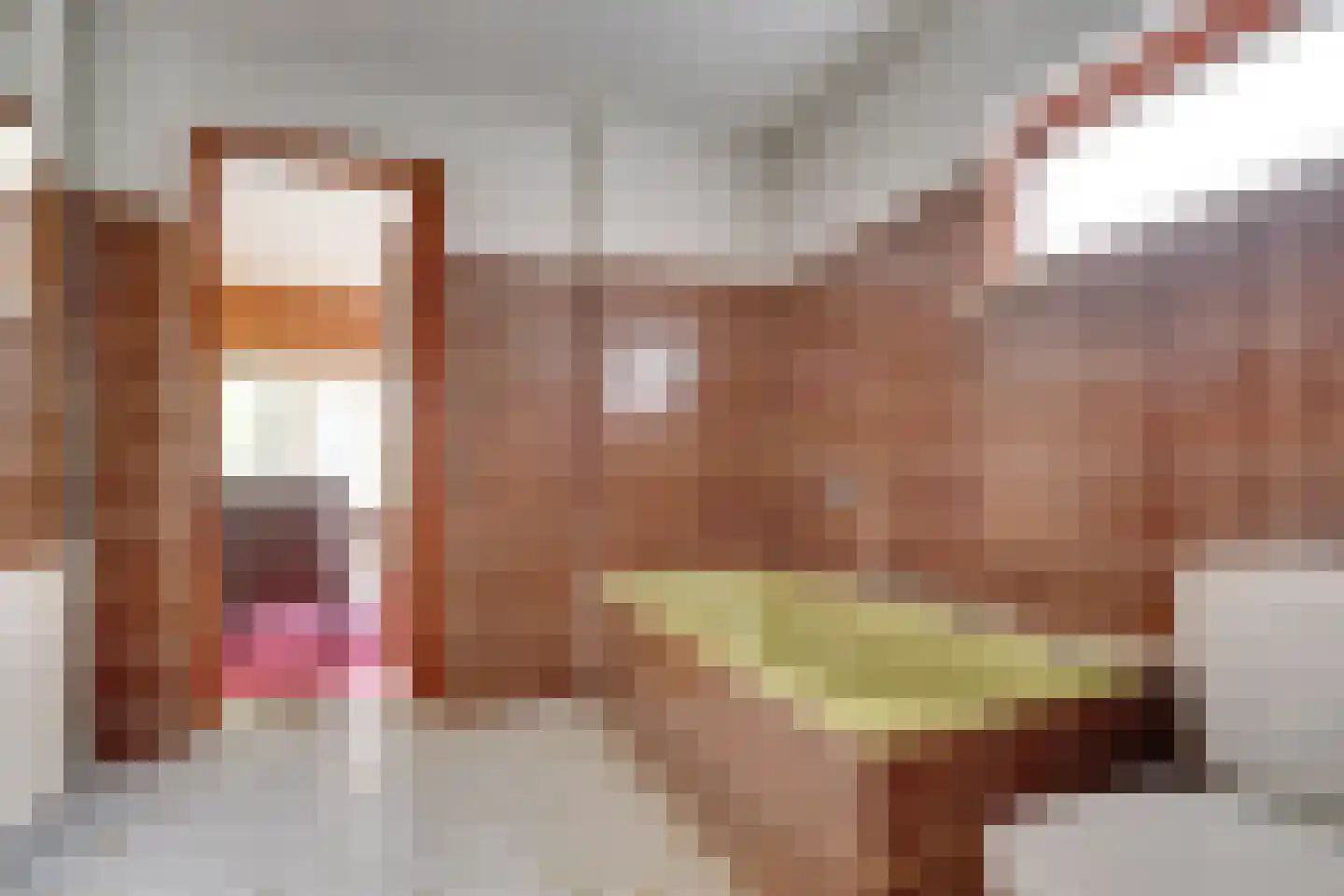 Julianalaan 279 Bilthoven thumbnail 6