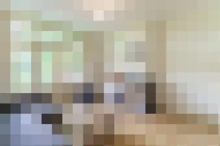 Julianalaan 28 Delft thumbnail 17