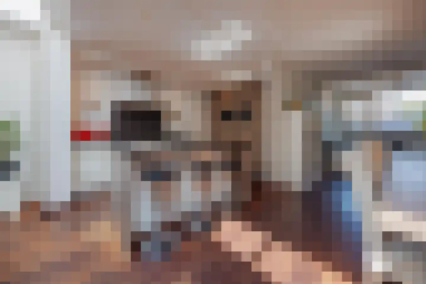 Julianalaan 28 e Raamsdonksveer thumbnail 13