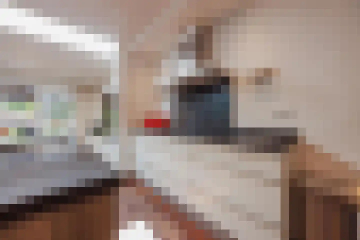 Julianalaan 28 e Raamsdonksveer thumbnail 15