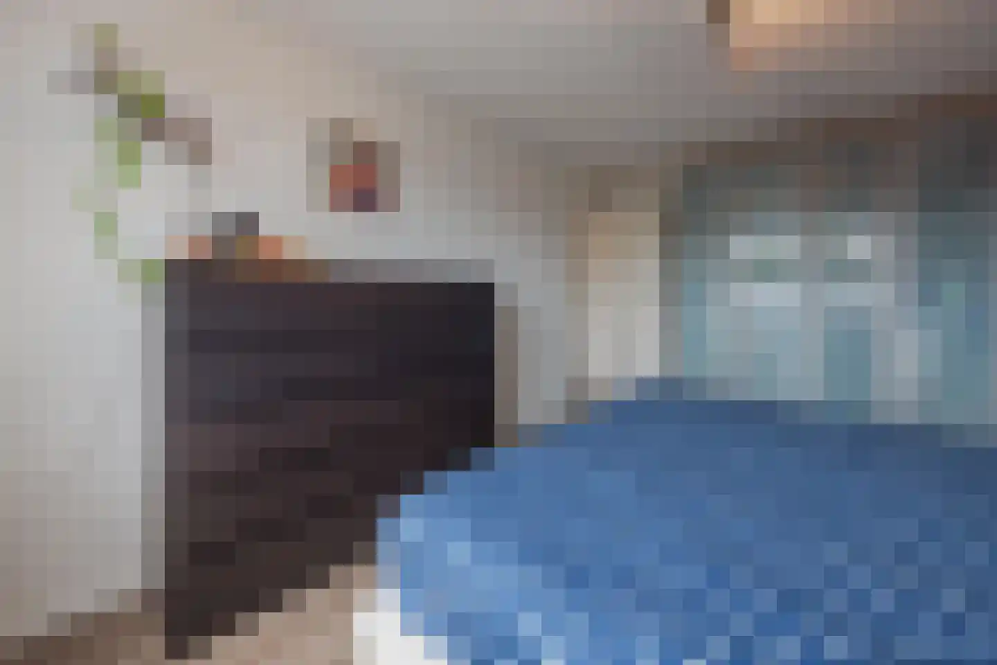 Julianalaan 28 e Raamsdonksveer thumbnail 27