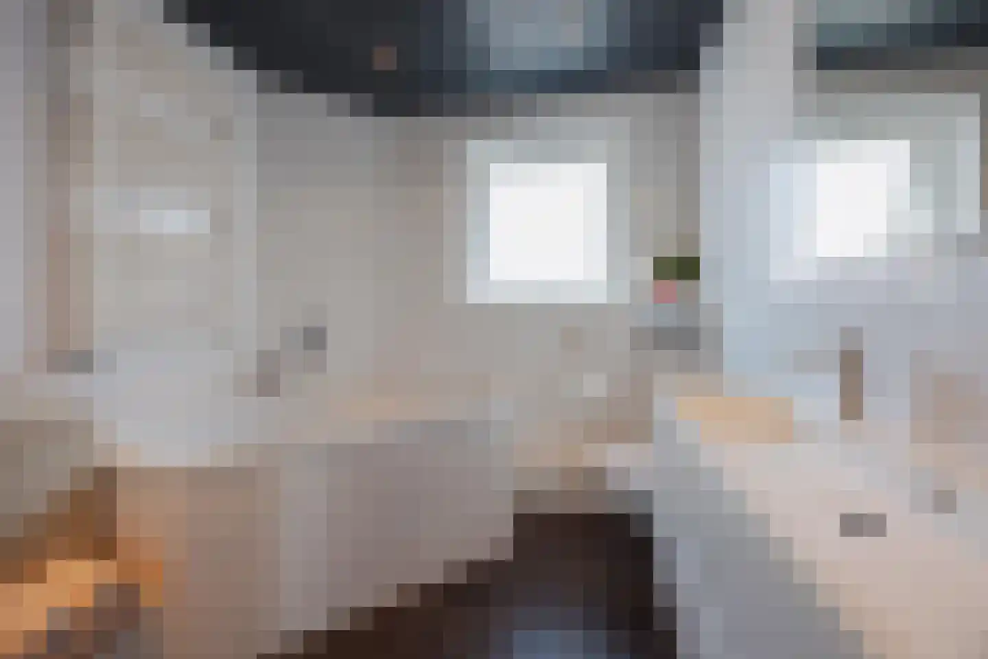 Julianalaan 28 e Raamsdonksveer thumbnail 30