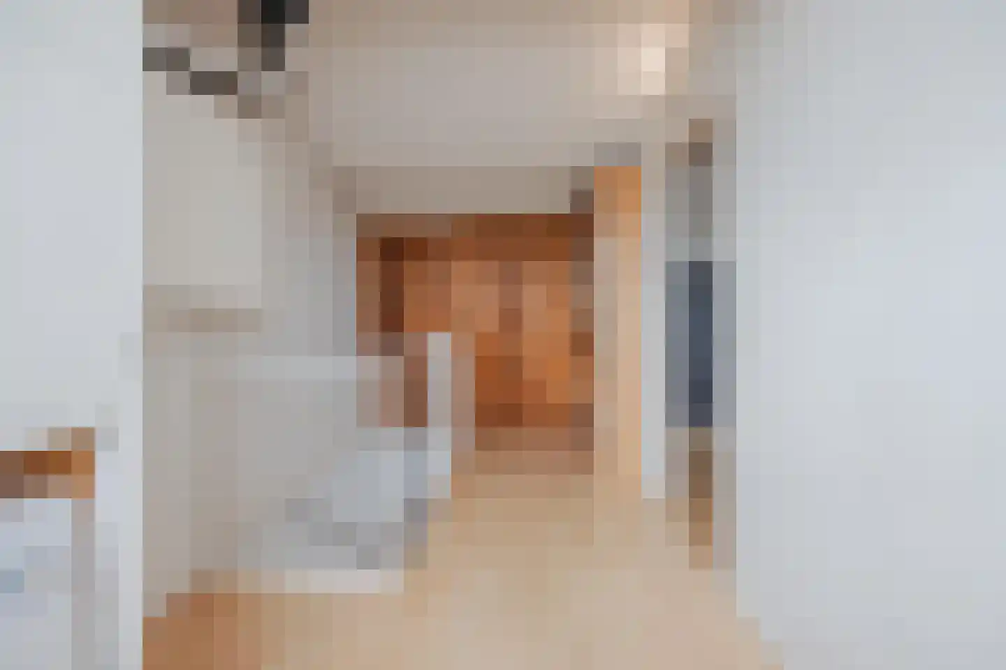 Julianalaan 28 e Raamsdonksveer thumbnail 35