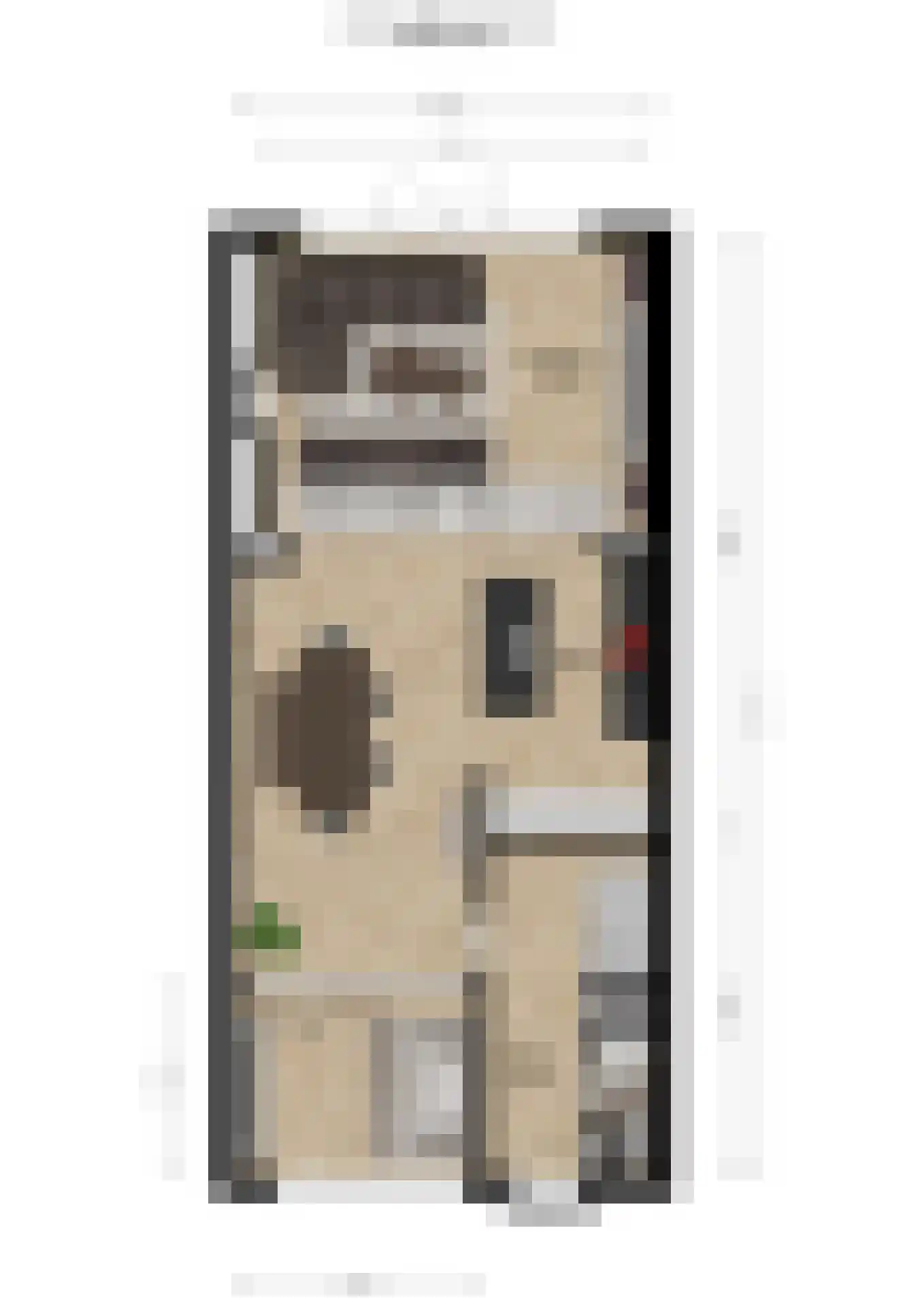 Julianalaan 28 e Raamsdonksveer thumbnail 52