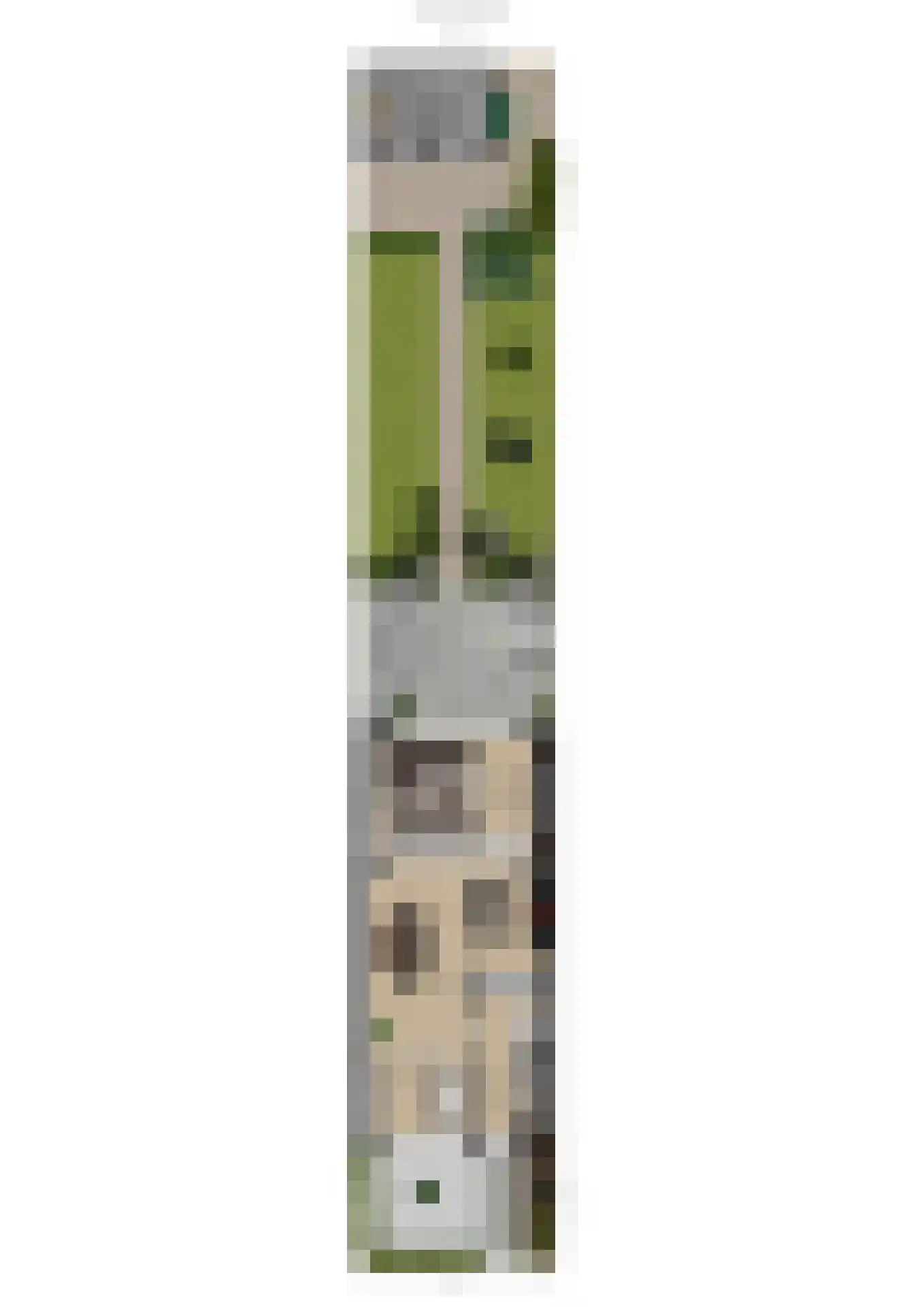 Julianalaan 28 e Raamsdonksveer thumbnail 55
