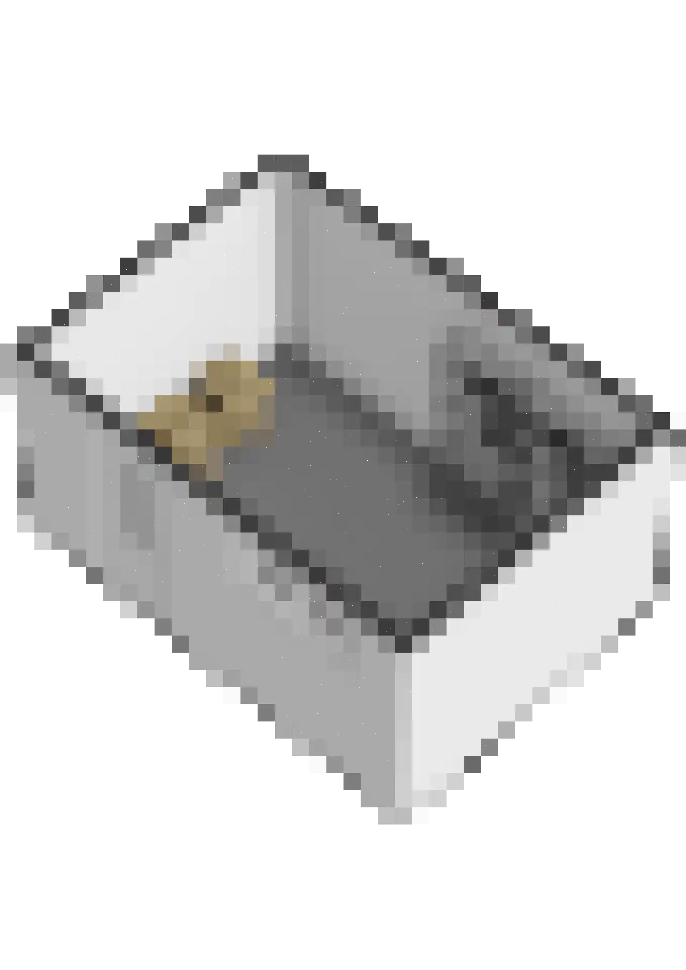 Julianalaan 28 e Raamsdonksveer thumbnail 58
