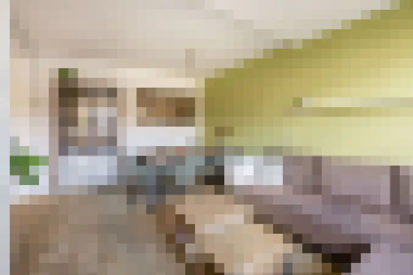 Julianalaan 28 Reeuwijk thumbnail 11