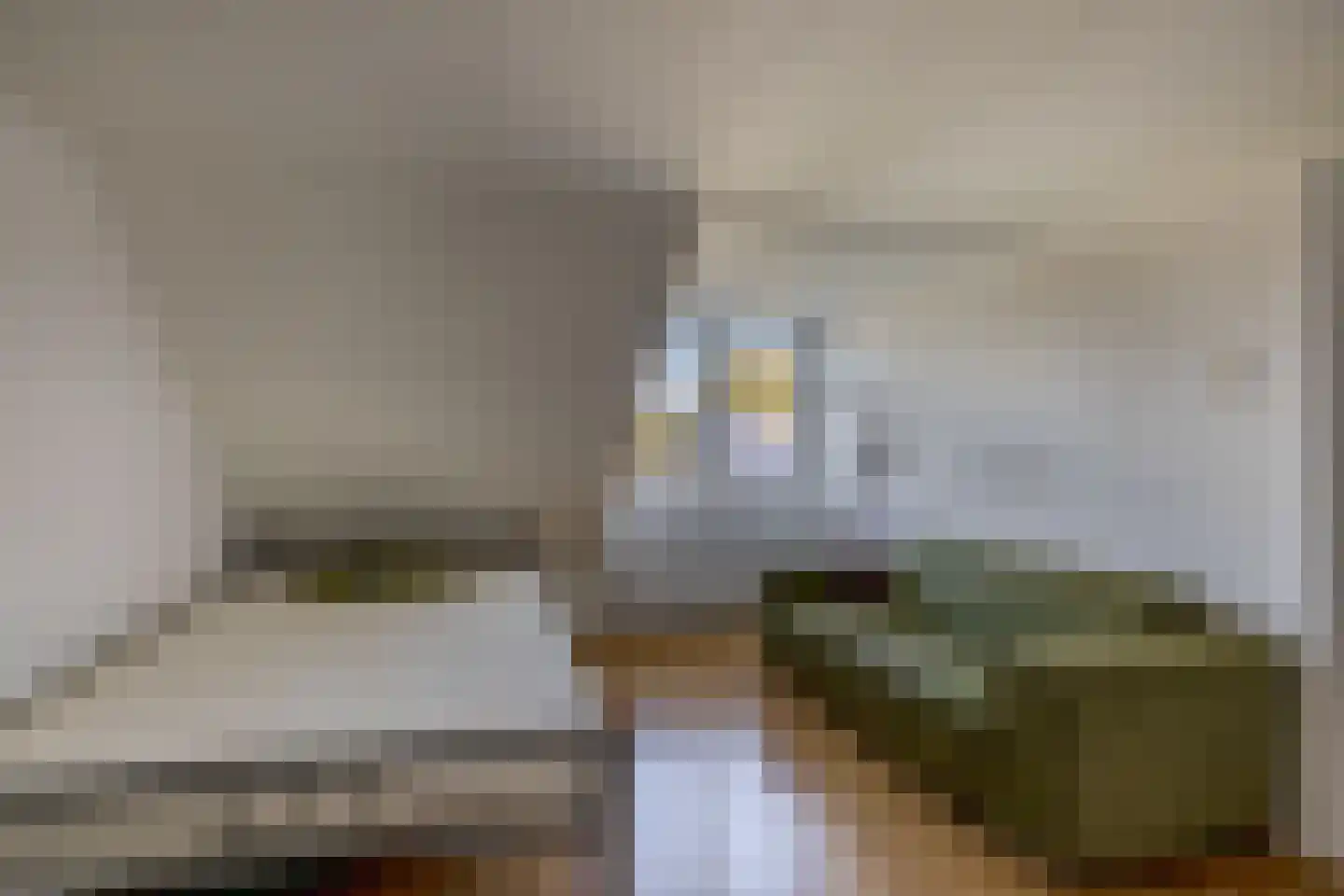 Julianalaan 28 Reeuwijk thumbnail 29