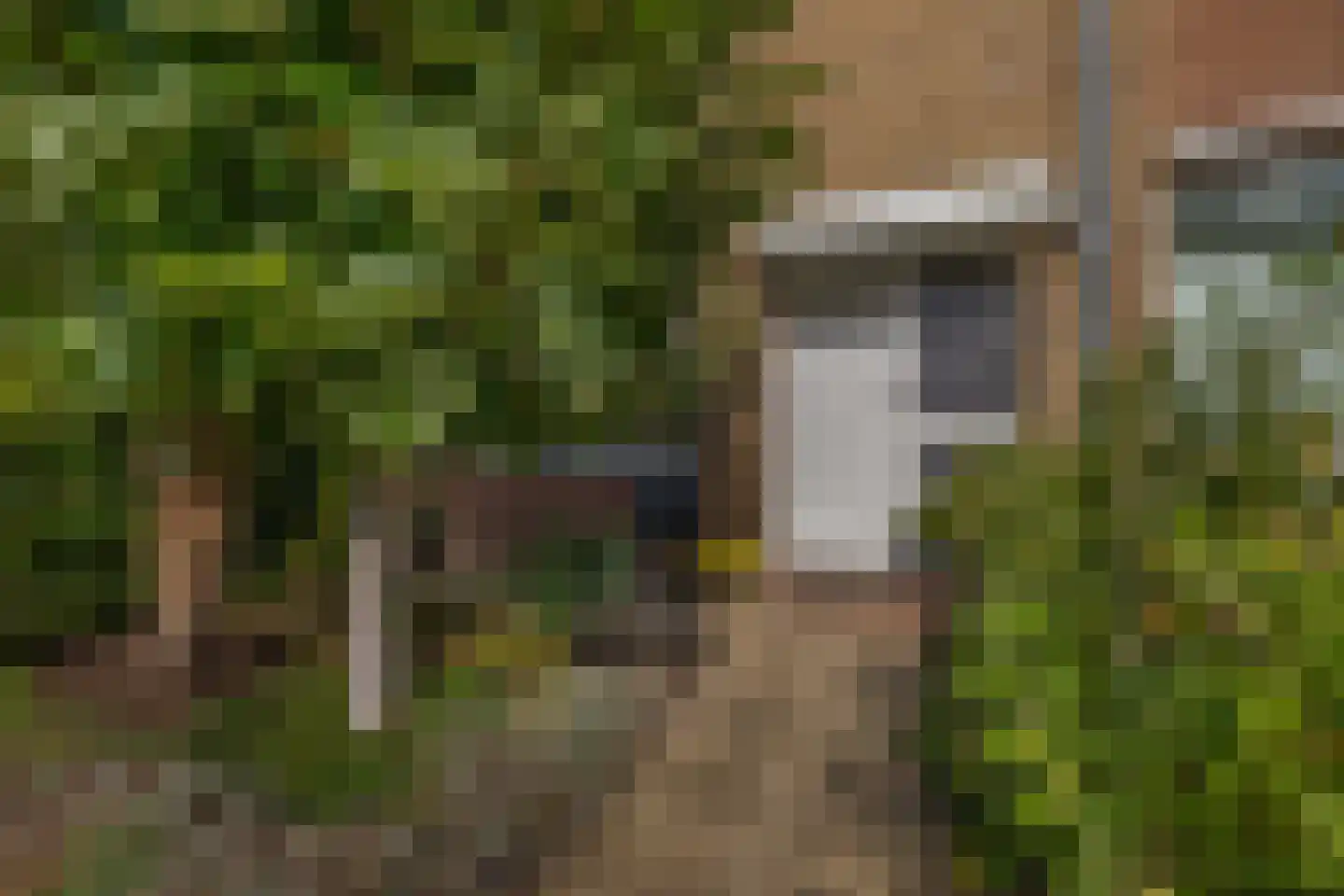 Julianalaan 28 Reeuwijk thumbnail 7