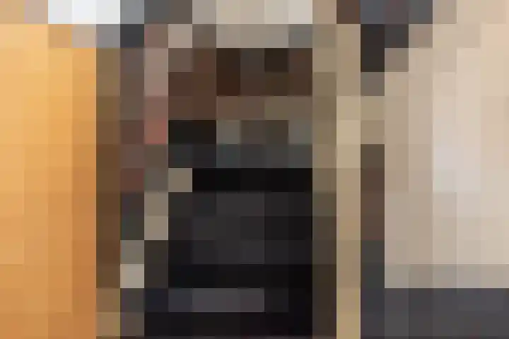 Julianalaan 29 Overveen thumbnail 15
