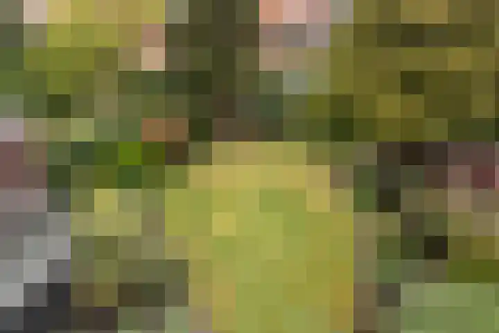 Julianalaan 29 Overveen thumbnail 21