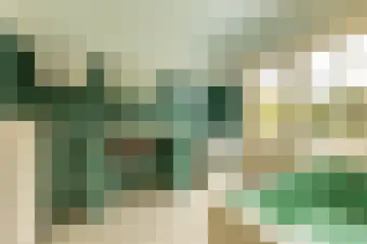 Julianalaan 29 Overveen thumbnail 23