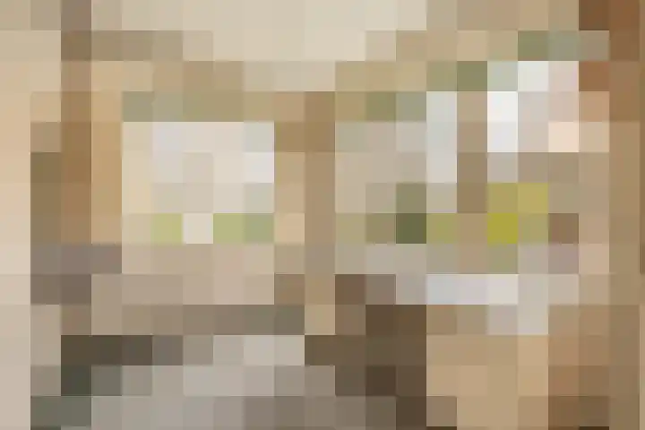 Julianalaan 29 Overveen thumbnail 27