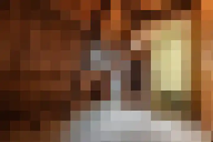 Julianalaan 29 Overveen thumbnail 35