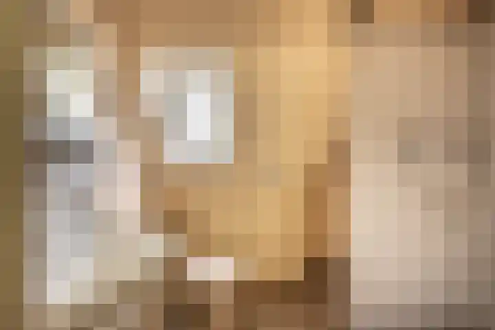 Julianalaan 29 Overveen thumbnail 37