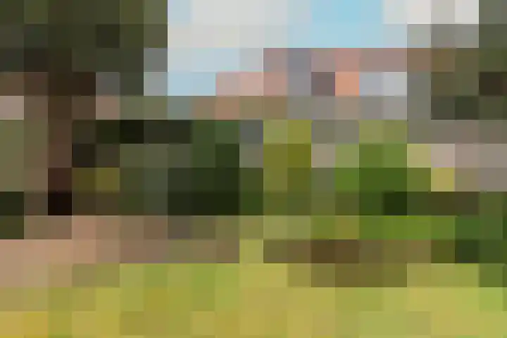 Julianalaan 29 Overveen thumbnail 42