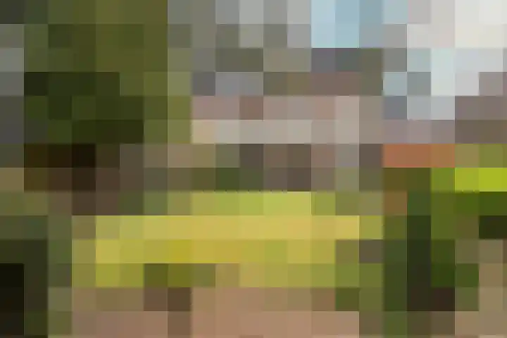 Julianalaan 29 Overveen thumbnail 44