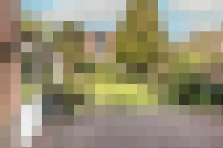 Julianalaan 29 Overveen thumbnail 45