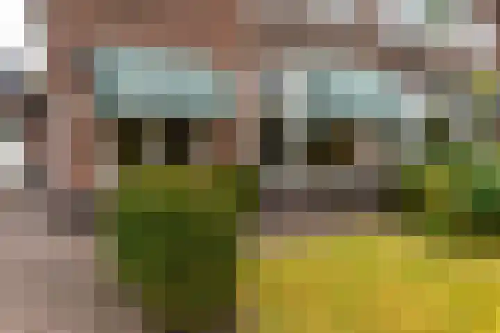 Julianalaan 29 Overveen thumbnail 46