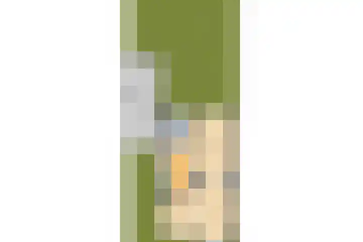 Julianalaan 29 Overveen thumbnail 55