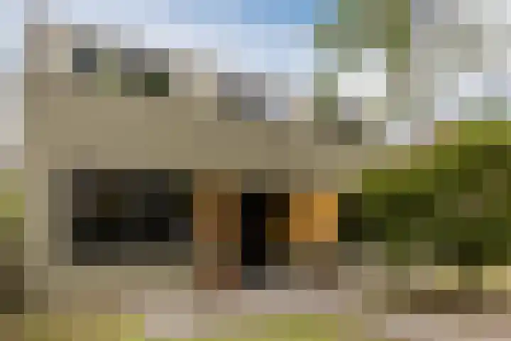 Julianalaan 29 's Gravenmoer