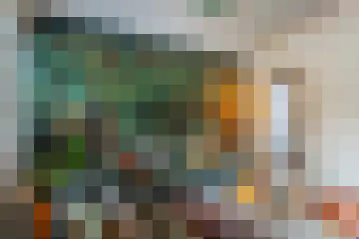 Julianalaan 29 's Gravenmoer thumbnail 11