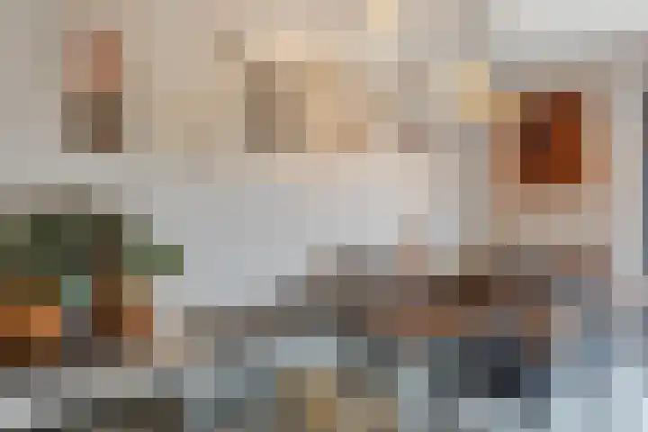 Julianalaan 29 's Gravenmoer thumbnail 15
