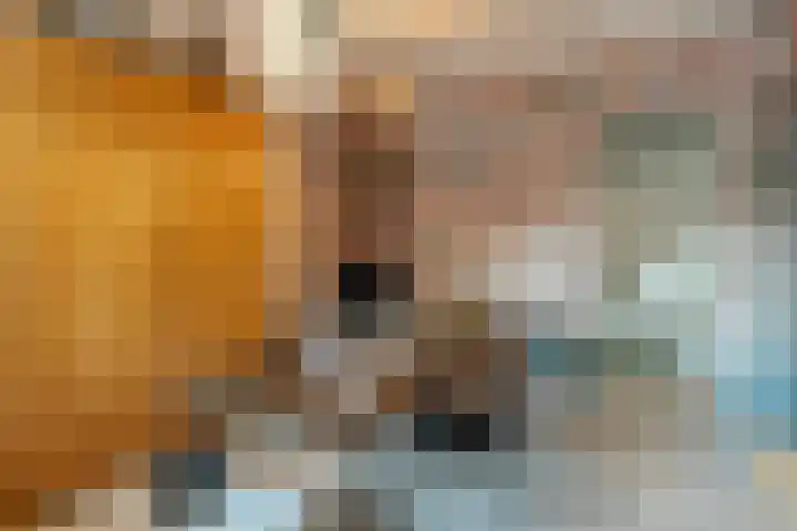 Julianalaan 29 's Gravenmoer thumbnail 23