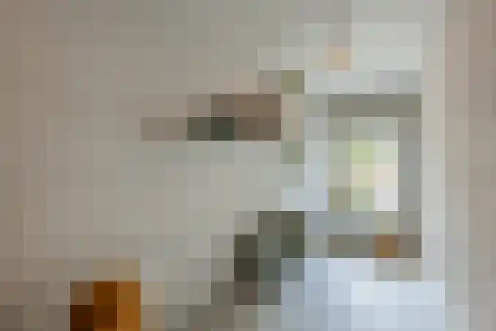 Julianalaan 29 's Gravenmoer thumbnail 25