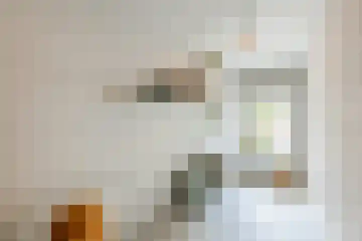 Julianalaan 29 's Gravenmoer thumbnail 29