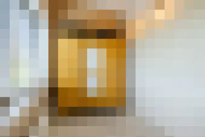 Julianalaan 29 's Gravenmoer thumbnail 36