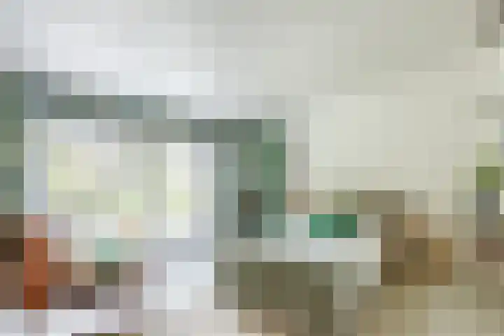Julianalaan 29 's Gravenmoer thumbnail 38