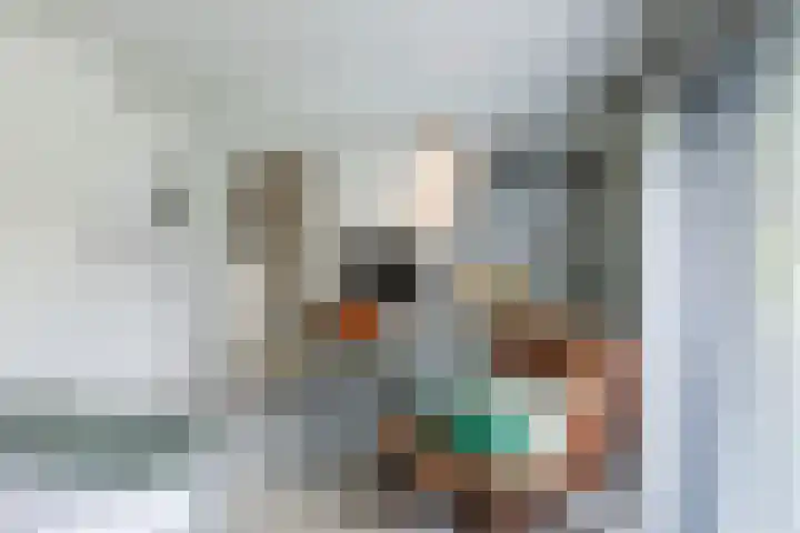 Julianalaan 29 's Gravenmoer thumbnail 41