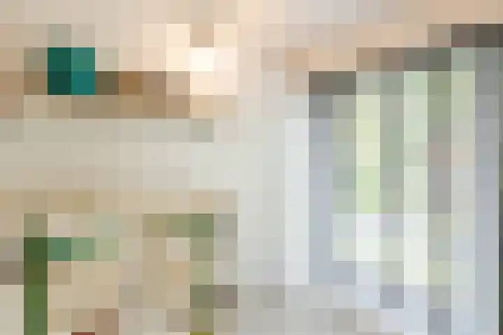 Julianalaan 29 's Gravenmoer thumbnail 42