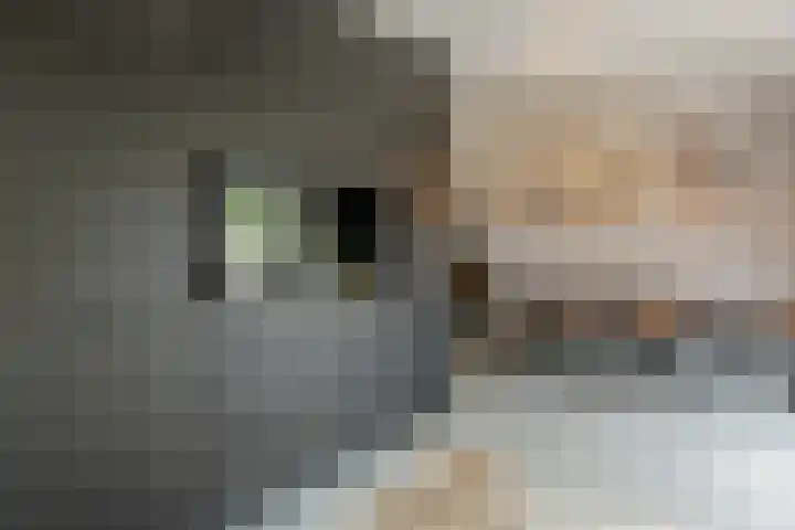 Julianalaan 29 's Gravenmoer thumbnail 5