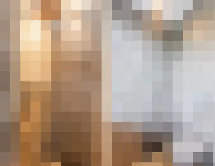 Julianalaan 29 's Gravenmoer thumbnail 52