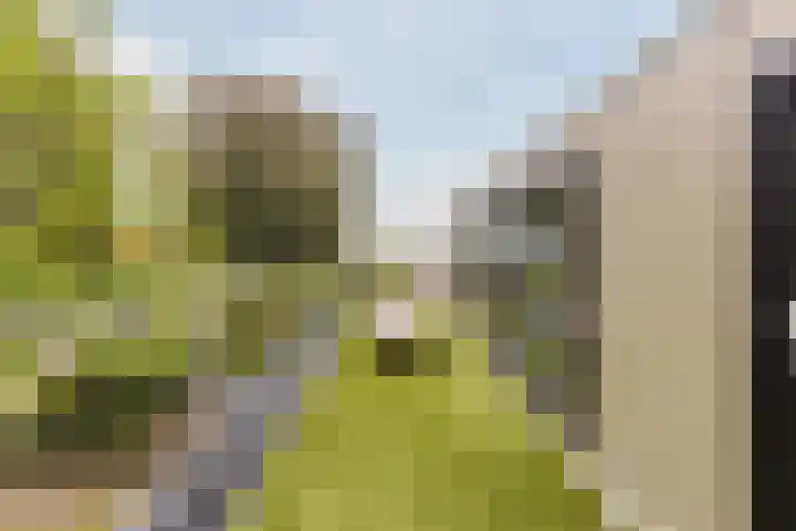 Julianalaan 29 's Gravenmoer thumbnail 53